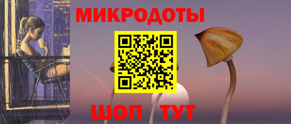 Псилоцибиновые грибы мицелий Великий Устюг