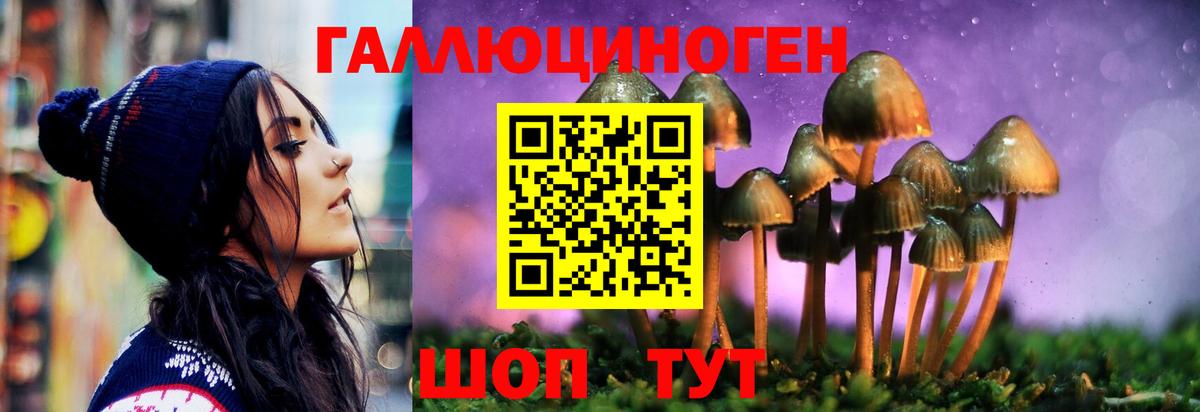 Великий Устюг  Псилоцибиновые грибы Psilocybine cubensis  наркошоп  Вход с VPN 